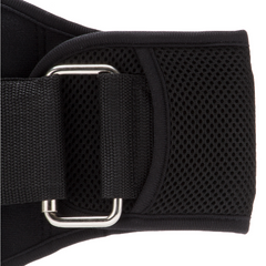 EVERLAST CINTURON CONTOURED WEIGHT LIFTING BELT